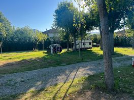 Piazzola