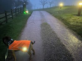 Foggy day at the campsite but lit up well.