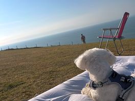 Louie looking at the fantastic views