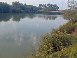Local fishing 5 min walk