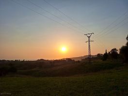 Sonnenaufgang auf der extra eingerichteten hundewiese, die kompl. eingezäunt is