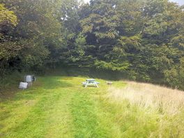 The pitch