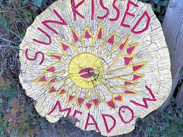Sunkissed meadow!