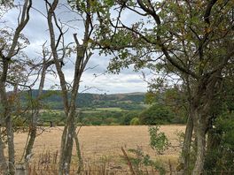 Lovely views