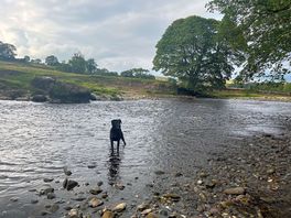 The river wharfe