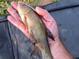 Beautiful catch