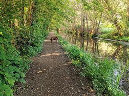 Tow path towards newtown