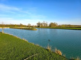 Lovely lake