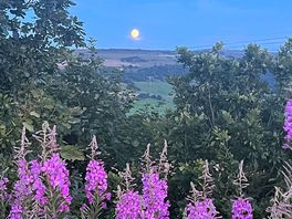 Stunning moon view