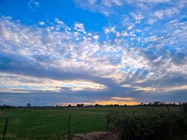 Views from the dog walking field