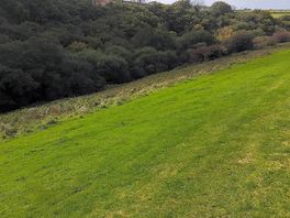 Quite a slope down to stre