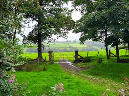 Nearby walks