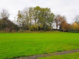 Grass pitches