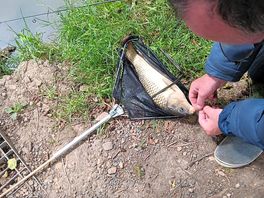 1st catch of the day