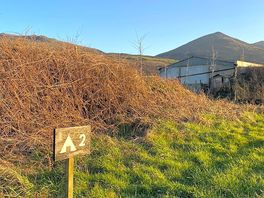 Some of the grassy pitches