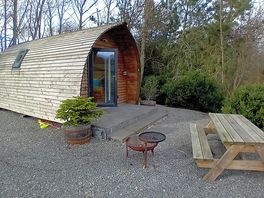 Oak pod