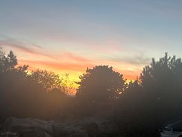 Perfect