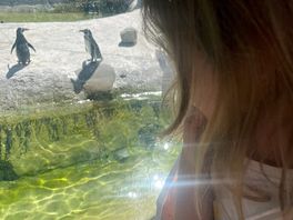 Right near zoo