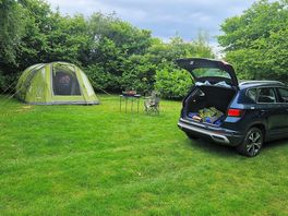 We camped in a the lovely orchard just next to the main field.
