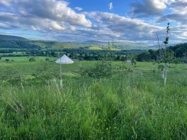 View from high meadow