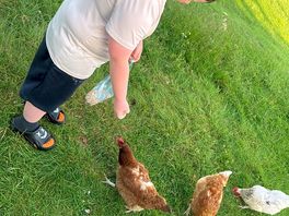 Feeding the chickens