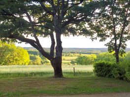 Great views from the pitches