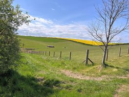 Out walking