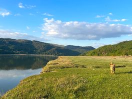 Estuary, 10 min walk from the site!