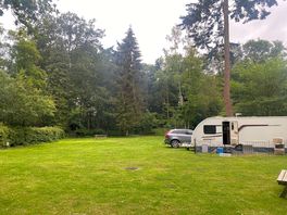 Pitched in the rally field