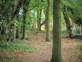 A peaceful well maintained park, set in 4 acres of grassland and woodland.