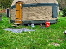 Our mongolian ger in the woods