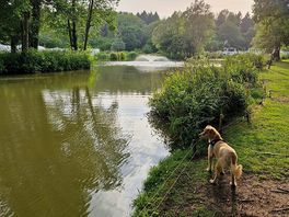 Lovely walks