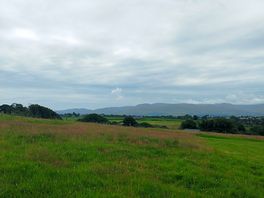 View from tent