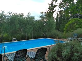 The pool.