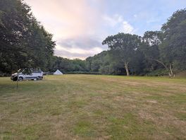 Scout field.