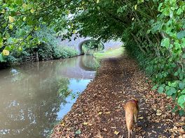 Canal walks