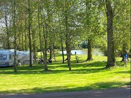 Pitches in the trees