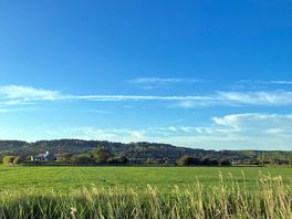 Views of the fields surrounding the campsite. a clear and sunny day