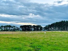 Field behind pitch