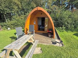 The pod