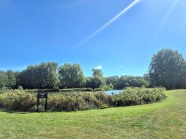Old pepper lake