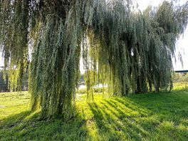 Beautiful setting