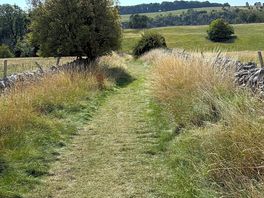 Walk from site
