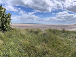 Beach walk at alnmouth