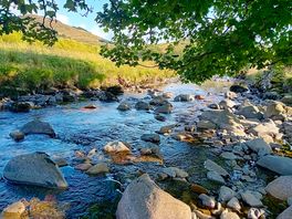 The stream