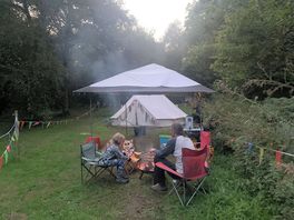 The meadow at dinner time