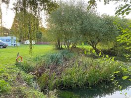 Lovely lake and wildlife