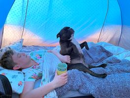 Even the dog loves staying here