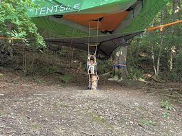 Buzzard tent