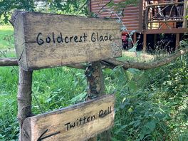 Quirky signs